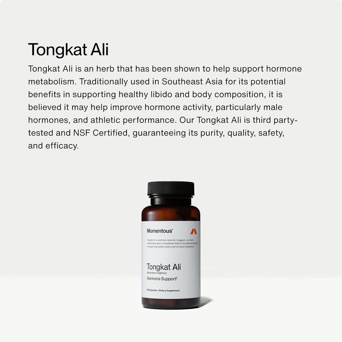 Tongkat Ali for Men and Women - Natural Performance Longjack Tongkat Ali Supplement for Health & Wellness - Hormone, Energy & Mood Support - Tongkat Ali Root Extract Powder, 30 Servings