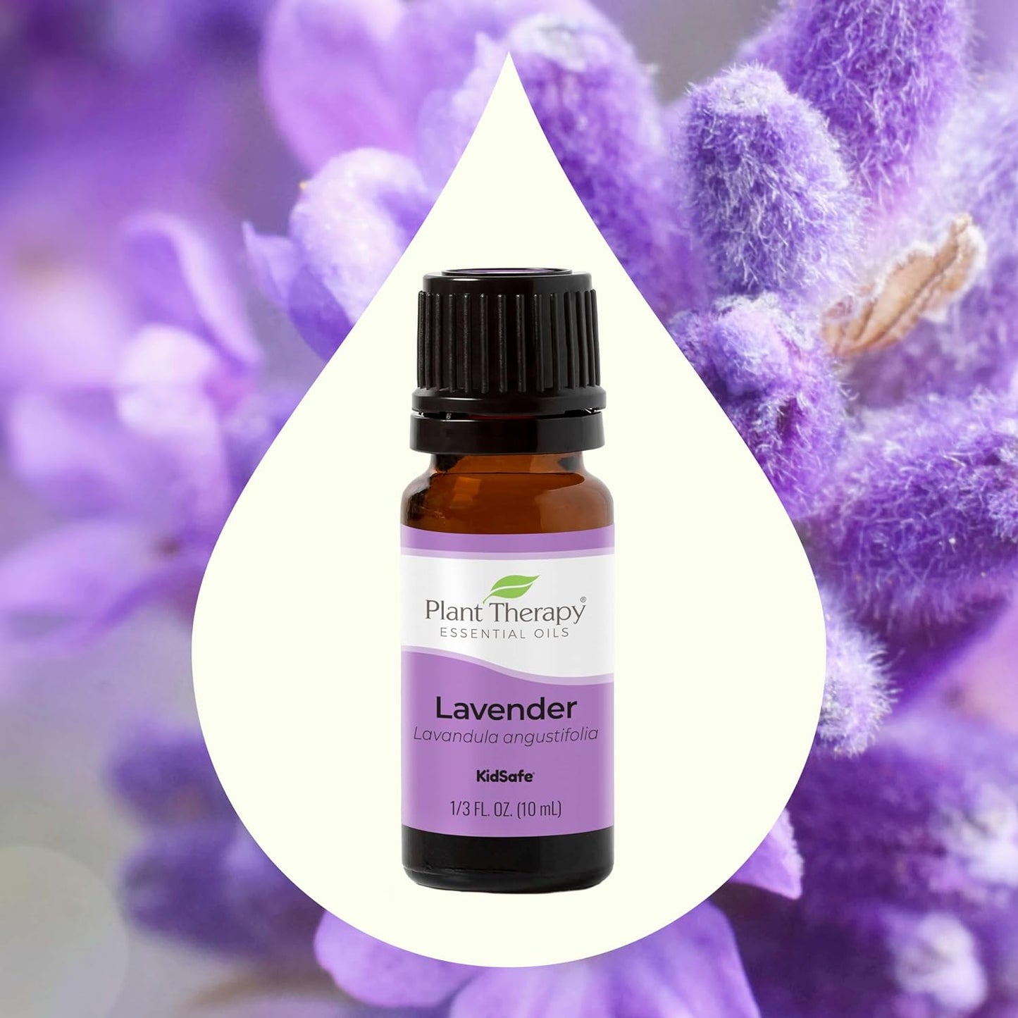 Lavender Essential Oil 100% Pure, Undiluted, Therapeutic Grade, Aromatherapy Diffuser for Relaxation and Body Care, Healthy Skin and Hair, 10 Ml (1/3 Oz)
