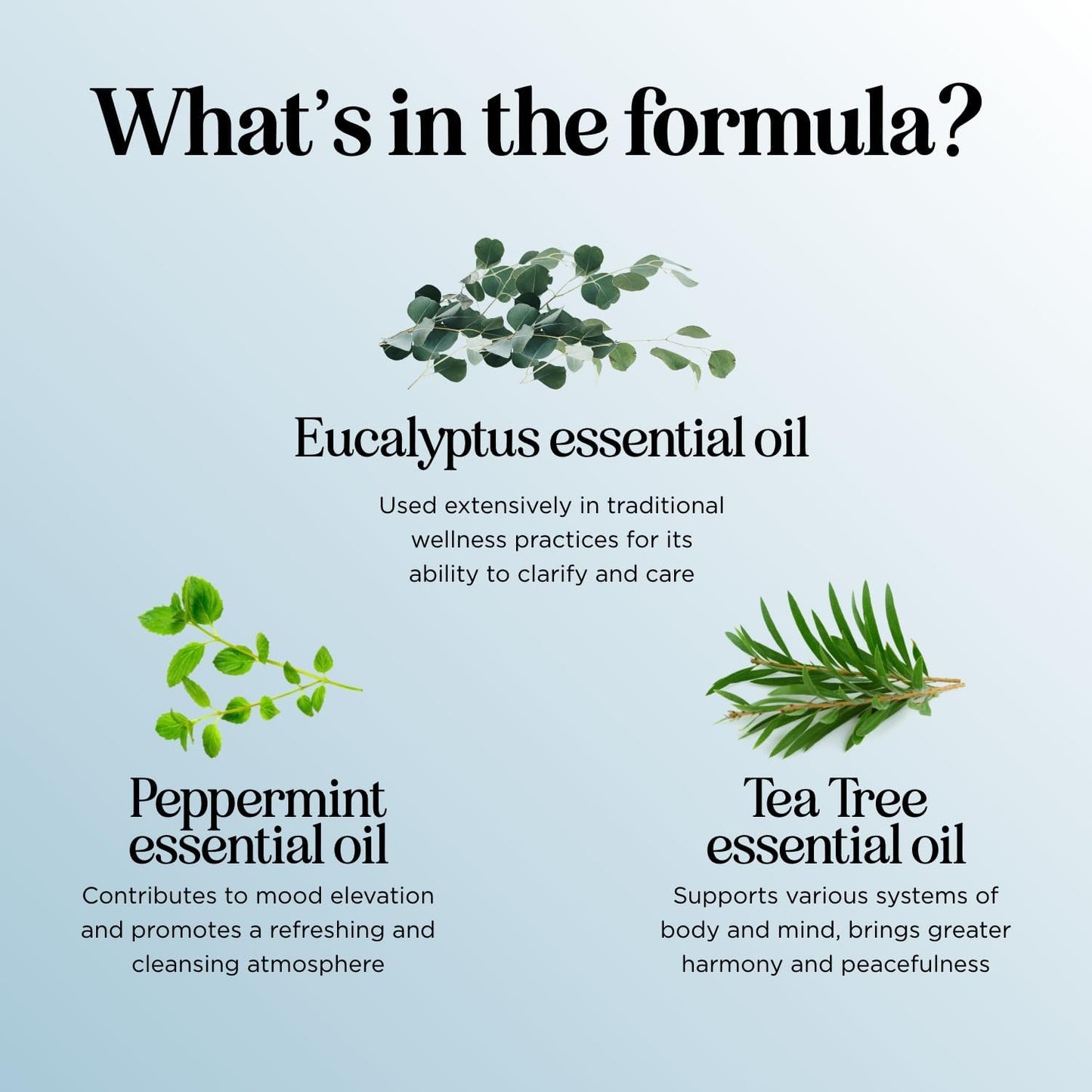 Breathe Blend Essential Oil for Diffuser - Invigorating Breathe Essential Oil Blend with Eucalyptus Peppermint Tea Tree and Mint Essential Oils for Diffusers for Home and Shower Aromatherapy