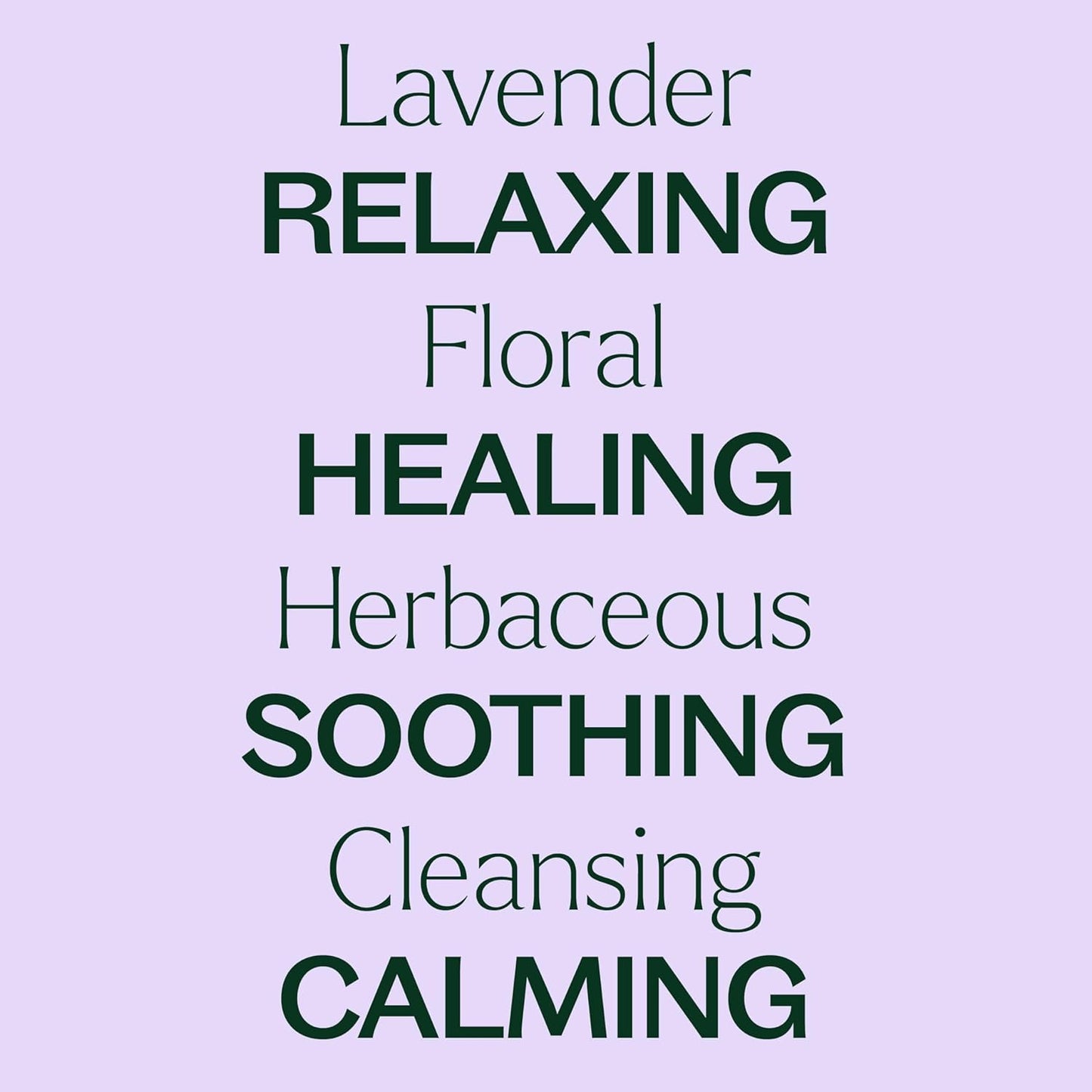 Lavender Essential Oil 100% Pure, Undiluted, Therapeutic Grade, Aromatherapy Diffuser for Relaxation and Body Care, Healthy Skin and Hair, 10 Ml (1/3 Oz)