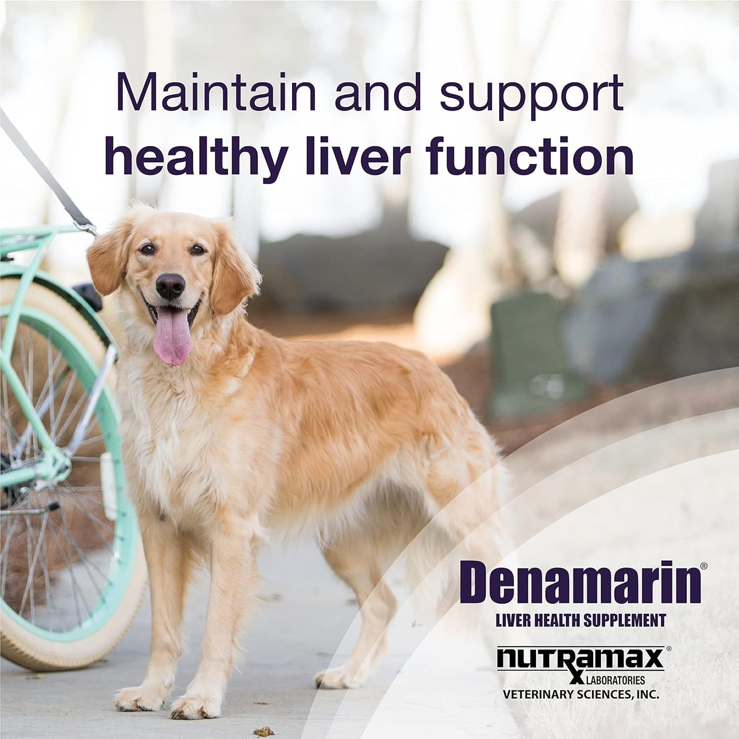 Denamarin Liver Health Supplement for Large Dogs - with S-Adenosylmethionine (Same) and Silybin, 30 Tablets(Pack of 1)