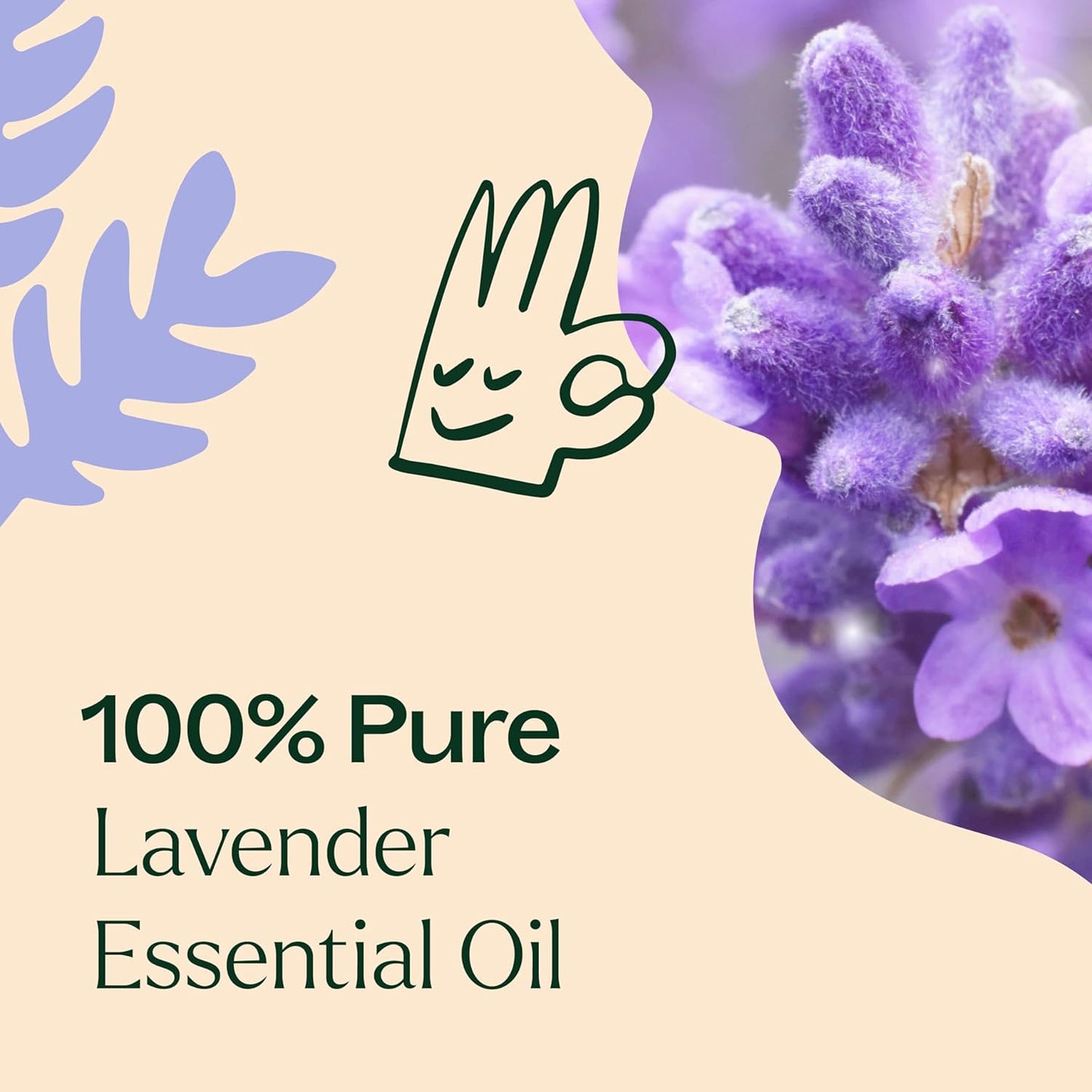 Lavender Essential Oil 100% Pure, Undiluted, Therapeutic Grade, Aromatherapy Diffuser for Relaxation and Body Care, Healthy Skin and Hair, 10 Ml (1/3 Oz)