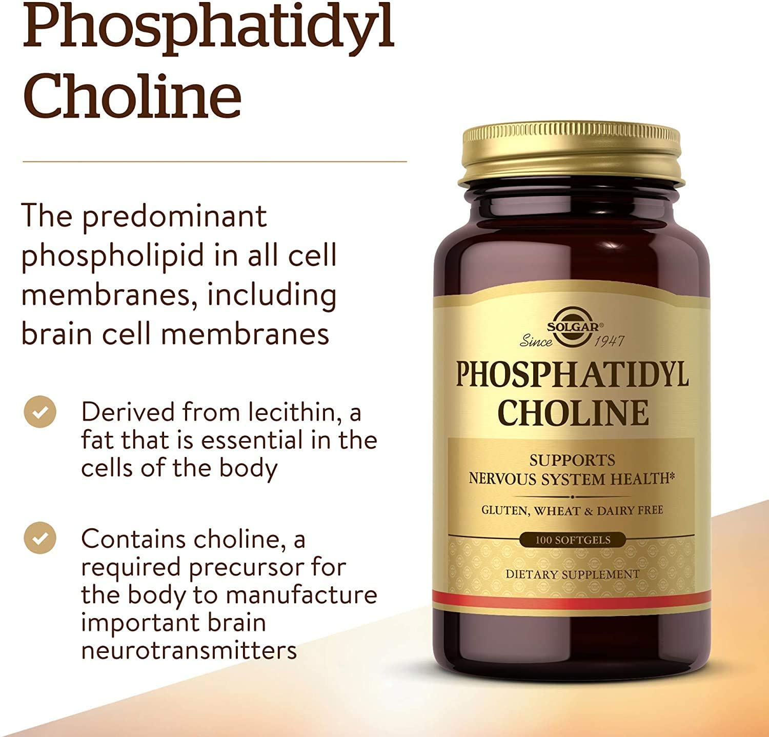 Phosphatidylcholine, 100 Softgels - Promote Healthy Cognitive Function - Derived from Lecithin - Contains Choline for Neurotransmitter Acetylcholine - Gluten Free, Dairy Free - 50 Servings