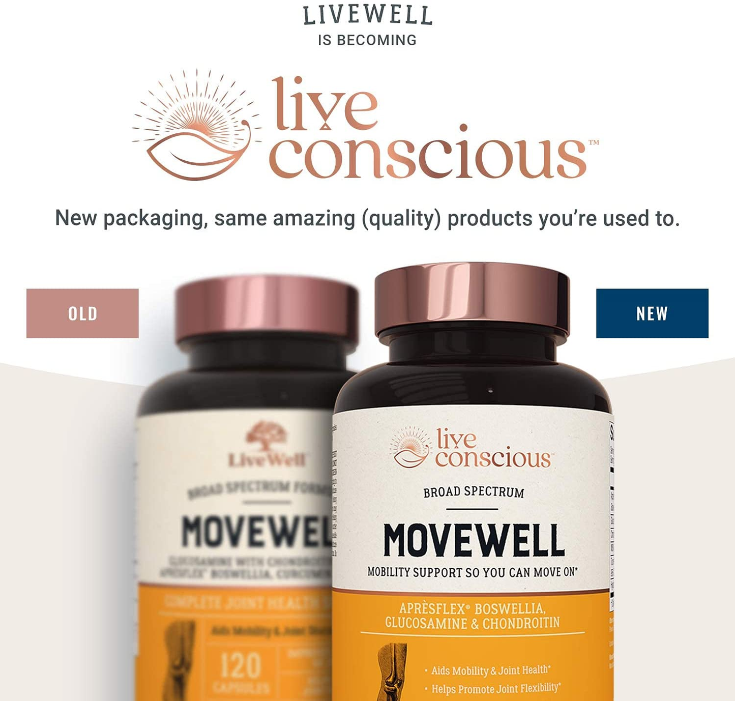 Glucosamine Chondroitin with MSM, Hyaluronic Acid, and More - Movewell by Livewell | Joint Health Supplement