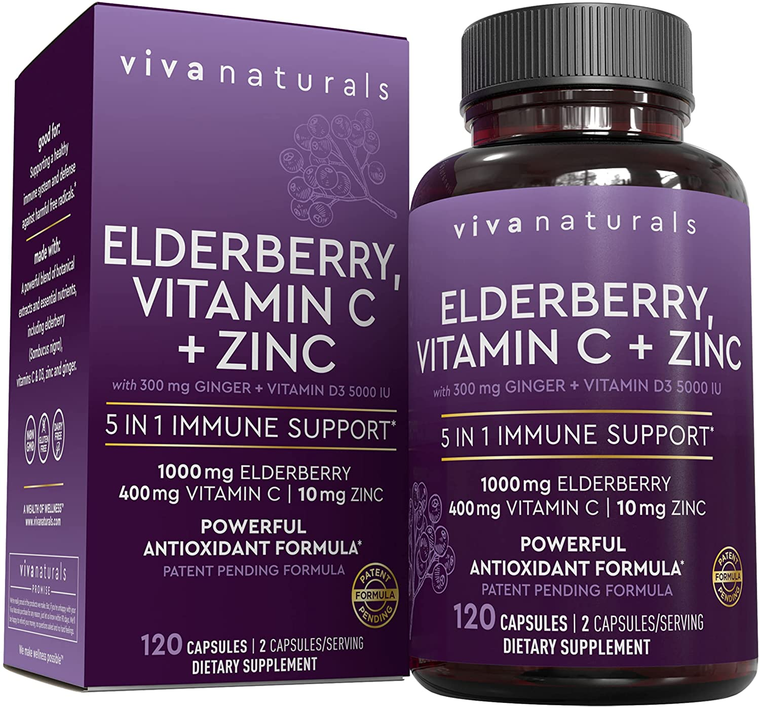 Sambucus Elderberry with Vitamin C, Zinc, Vitamin D3 5000 IU & Ginger (120 Capsules) - Antioxidant & Immune Support Supplement, 2 Month Supply - 5 in 1 Black Elderberry for Adults