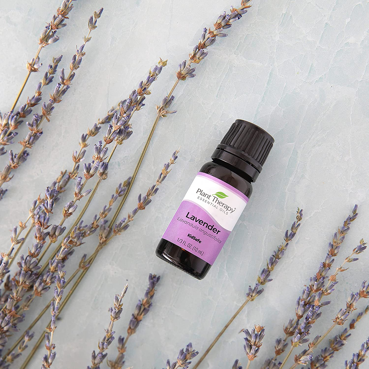 Lavender Essential Oil 100% Pure, Undiluted, Therapeutic Grade, for Aromatherapy Diffuser and Body Care Use, 10 Ml (1/3 Oz)