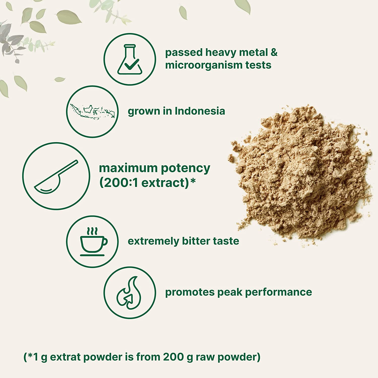 Tongkat Ali Extract 200:1 Concentrate Longjack Powder, 100 Grams, Grown in Indonesia, 100% Pure Eurycoma Longifolia Root Extract Powder, Bitter Taste - No Filler, No Additive, Non-Gmo