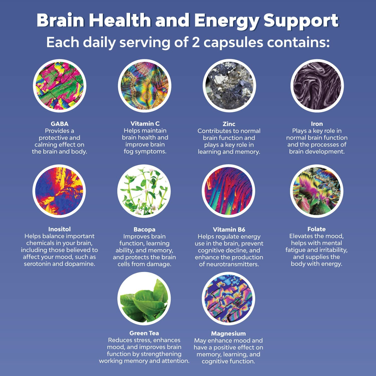 Nootropics Brain Support Supplement - Mental Focus Nootropic Memory Supplement for Brain Health with Energy and Focus Vitamins DMAE Bacopa and Phosphatidylserine - Brain Focus and Performance Blend