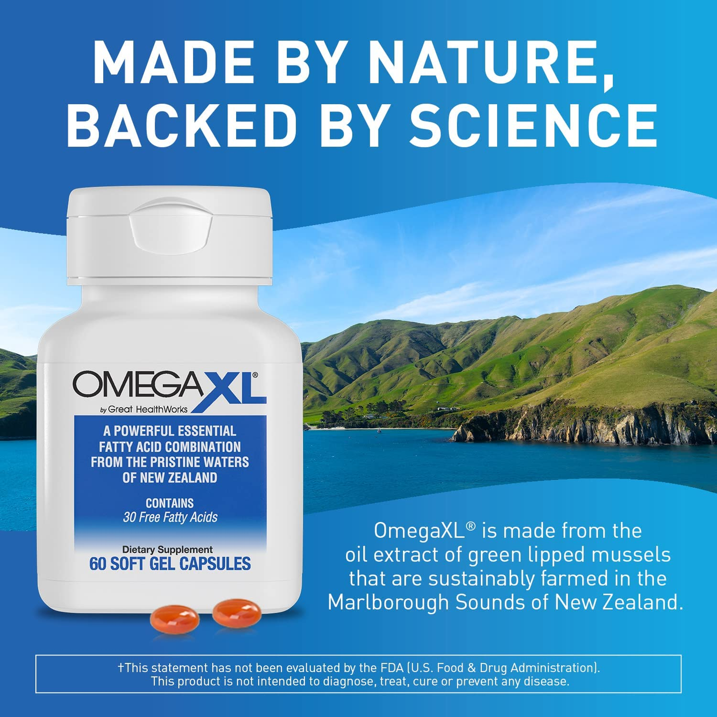 Support for Joint & Muscle Health, Mobility & Joint Pain Relief - 30+ Fatty Acids Green-Lipped Mussels No Fishy Aftertaste - 60 Softgels