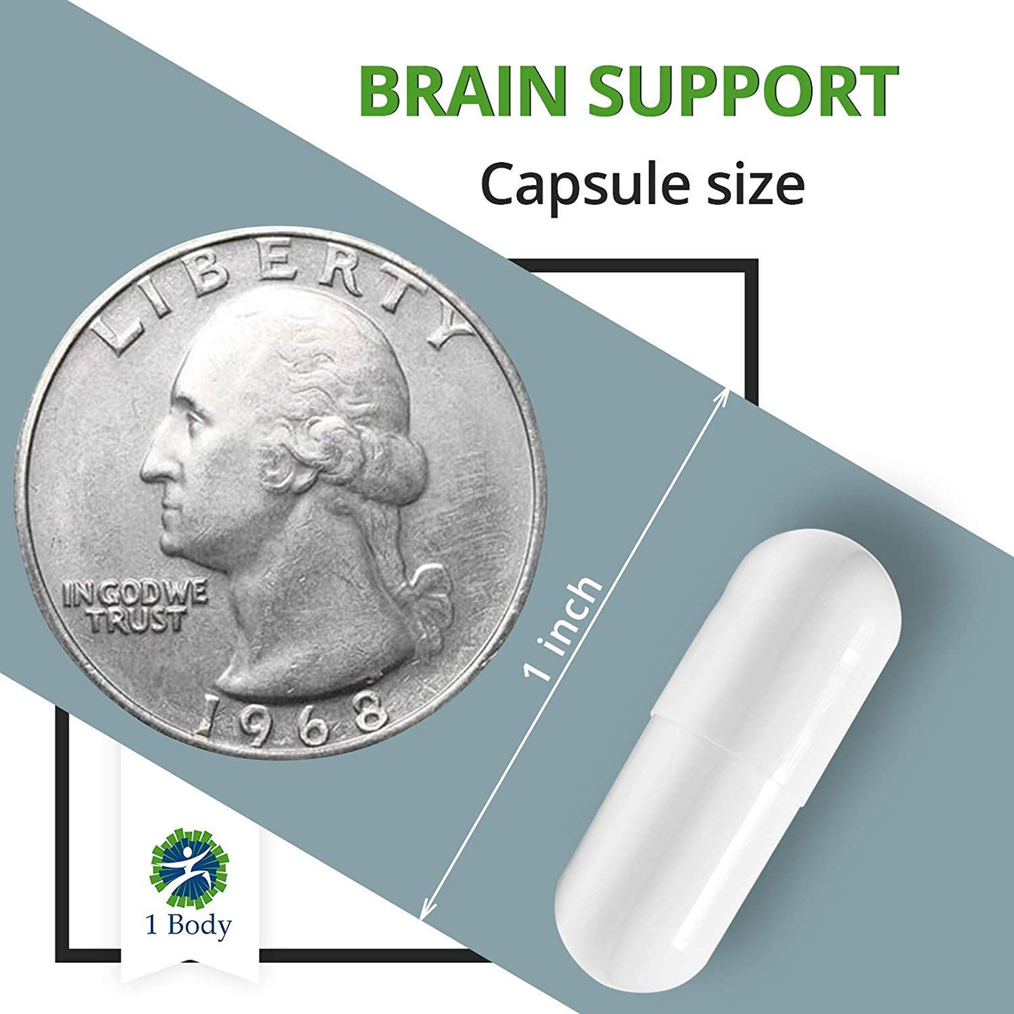 Brain Support Focus Supplement Pills - Support Healthy Brain Function with Nootropics, Improve Memory and Boost Focus - Alpha GPC, Lions Mane Extract, Bacopa Monnieri