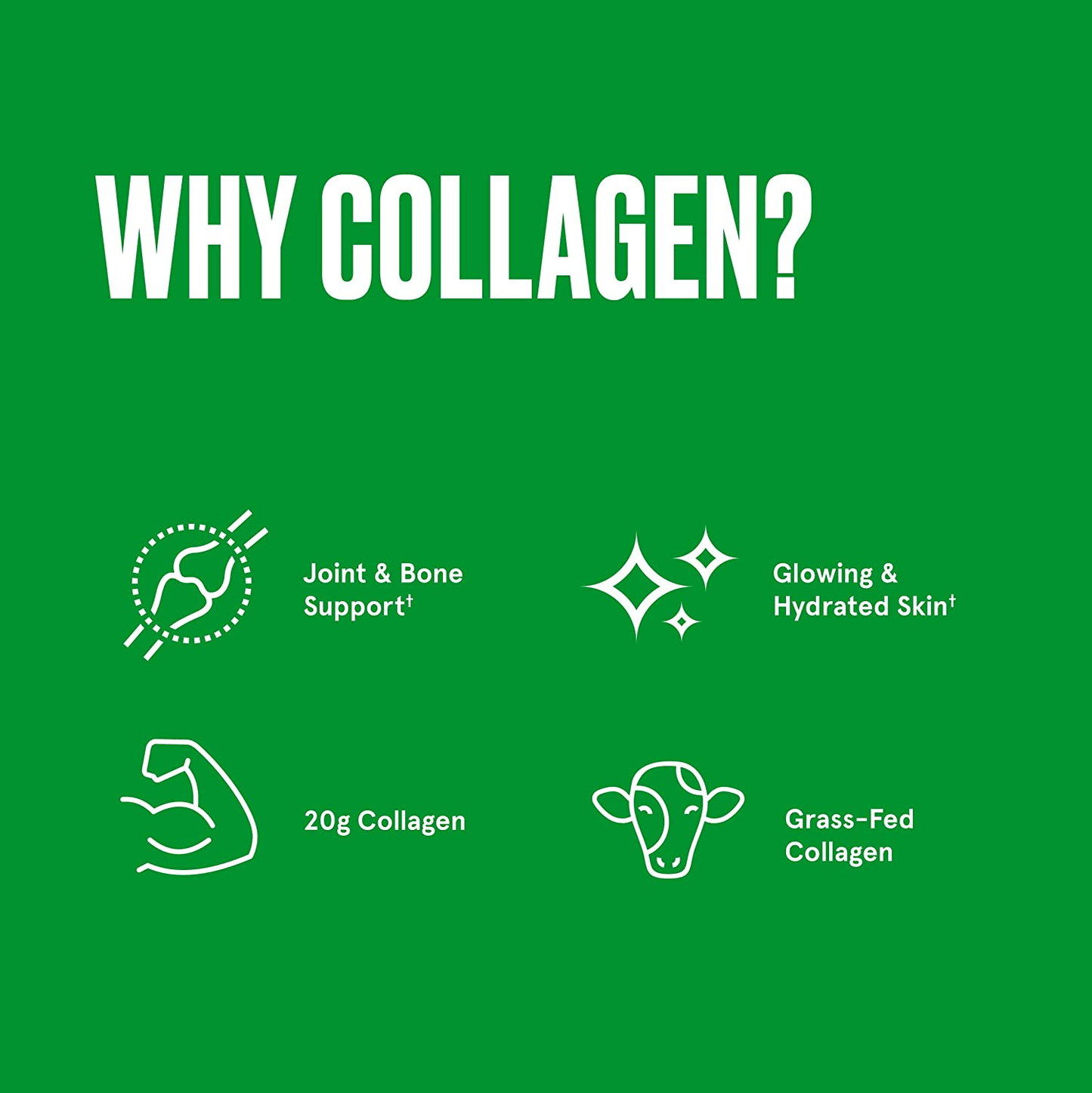 Unflavored Collagen Protein Powder, 17.6 Ounces, Grass-Fed Collagen Peptides and Amino Acids for Healthy Skin, Bones and Joints