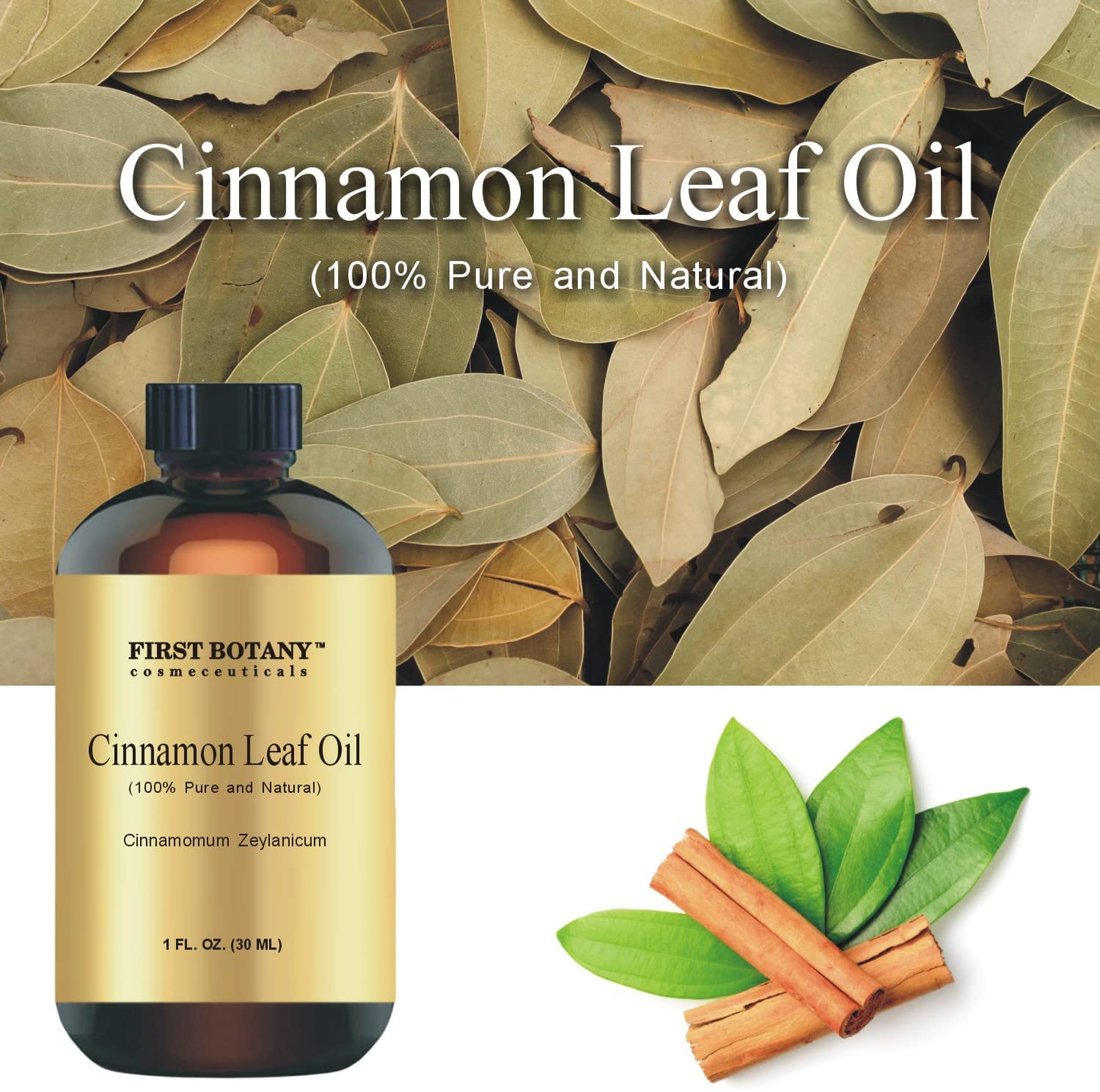 100% Pure Cinnamon Essential Oil - Premium Cinnamon Oil for Aromatherapy, Massage, Topical & Household Uses - 1 Fl Oz (Cinnamon)