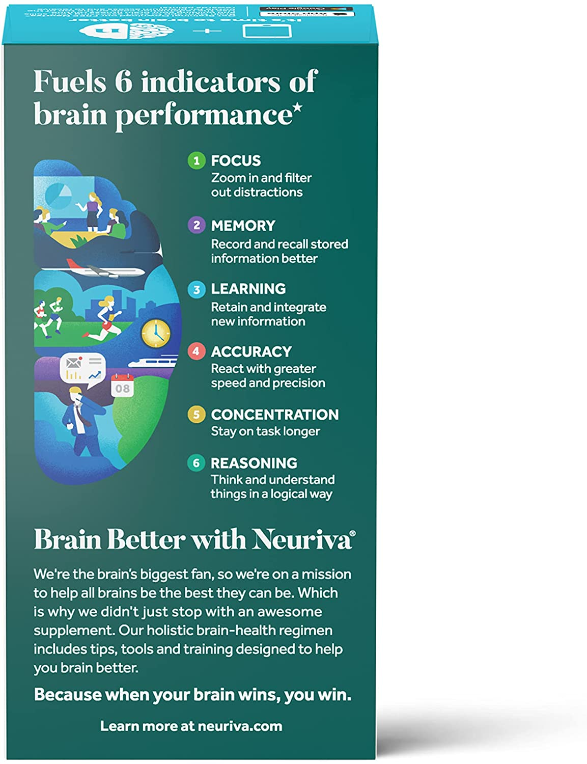 Nootropic Brain Support Supplement - plus Capsules (30 Count in a Box), Phosphatidylserine, B6, B12, Supports Focus Memory Concentration Learning Accuracy and Reasoning