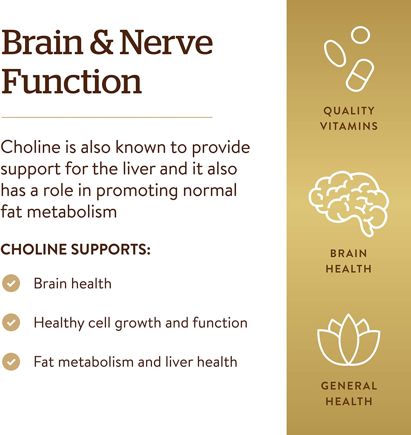 Choline 350 Mg, 100 Vegetable Capsules - Supports Healthy Brain & Cellular Function - Vegan, Gluten Free, Dairy Free, Kosher - 100 Servings