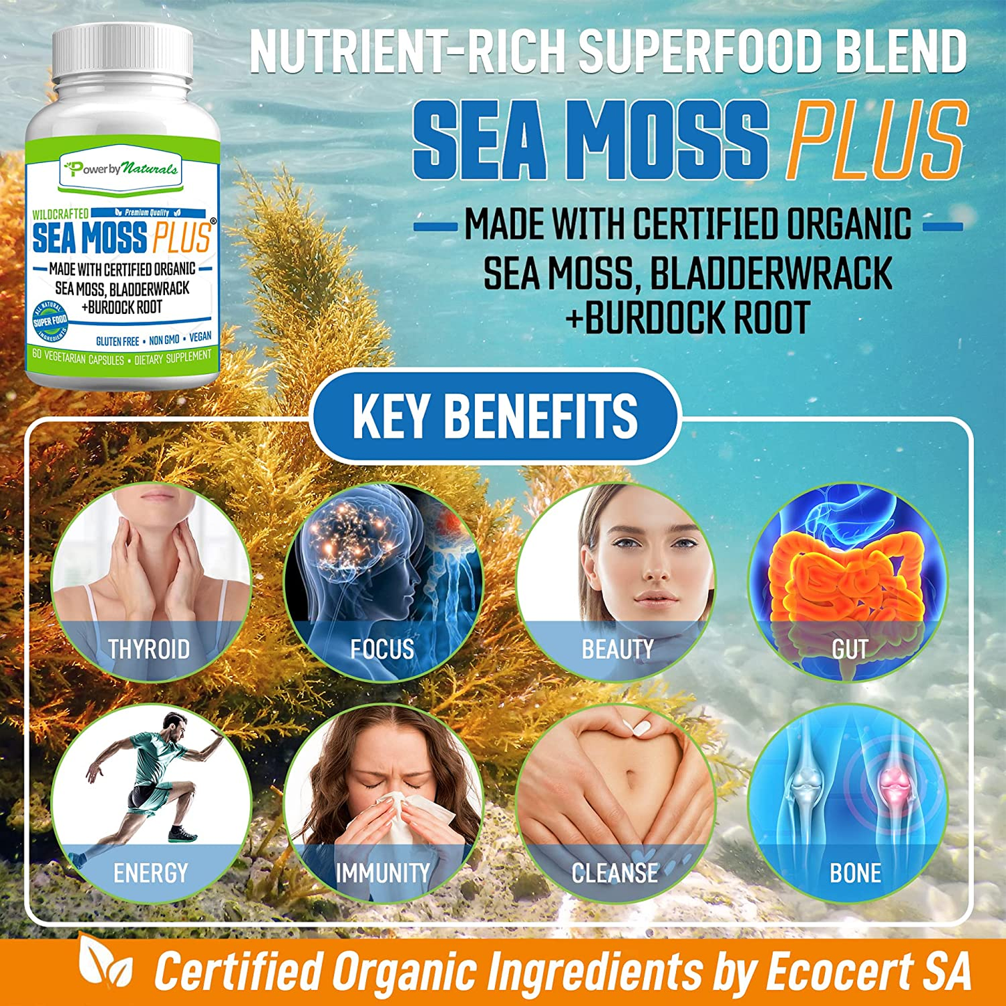 Certified Organic Sea Moss plus Supplements with Wildcrafted Irish Sea Moss, Bladderwrack, and Burdock Root, Pure Sea Moss Supplement, Vegan, No Fillers, 60 Seamoss Powder Capsules