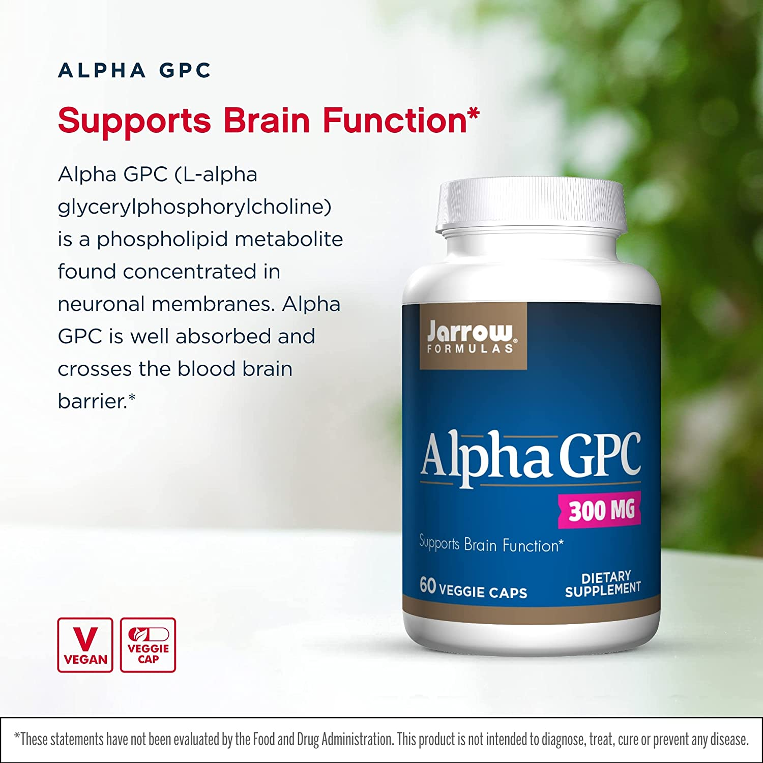 Alpha GPC 300 Mg - 60 Veggie Caps - Supports Brain Function - up to 60 Servings