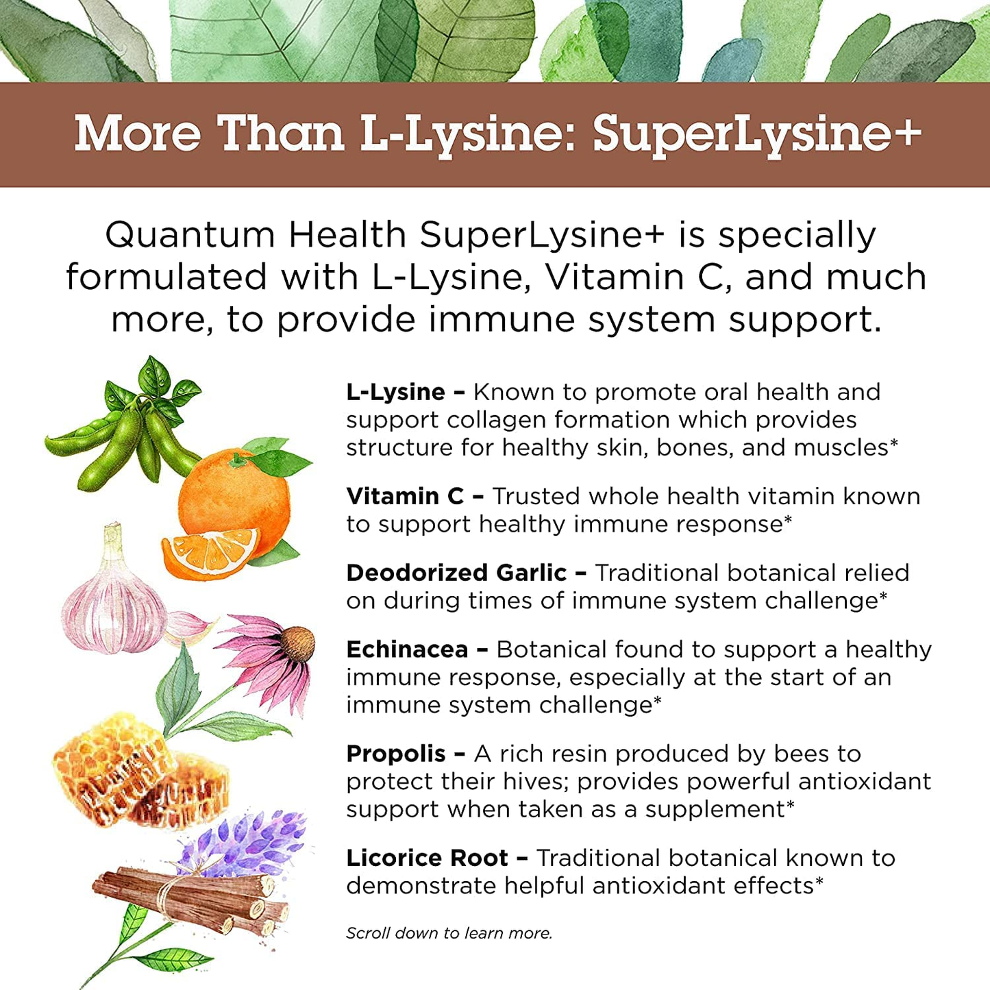 Super Lysine+ / Advanced Formula Lysine+ Immune Support with Vitamin C, Echinacea, Licorice, Propolis, Odorless Garlic (180 Tablets), Packaging May Vary