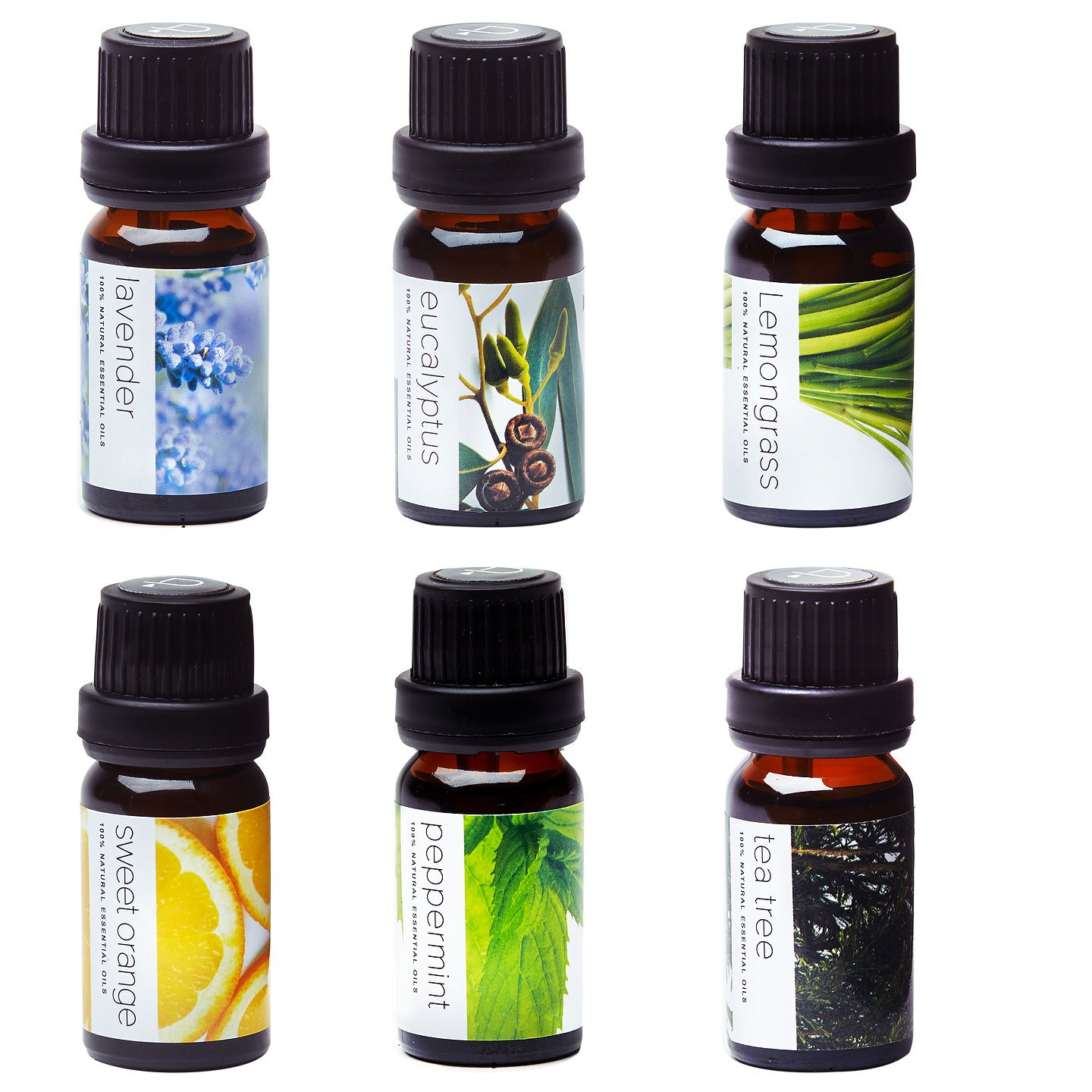 Essential Oils by  100% Pure Therapeutic Grade Oils Kit- Top 6 Aromatherapy Oils Gift Set-6 Pack, 10Ml(Eucalyptus, Lavender, Lemon Grass, Orange, Peppermint, Tea Tree)