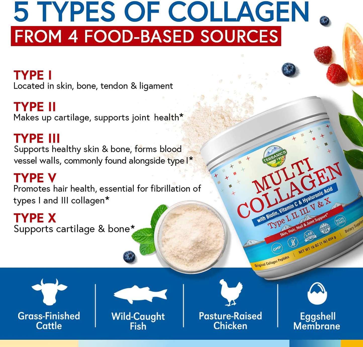 Multi Collagen Powder Type I II III V X with Biotin Vitamin C Hyaluronic Acid, Paleo & Keto Friendly, Skin Hair Nail & Joint Support, Bovine Marine Chicken & Eggshell, Original, No Gluten, Non-Gmo