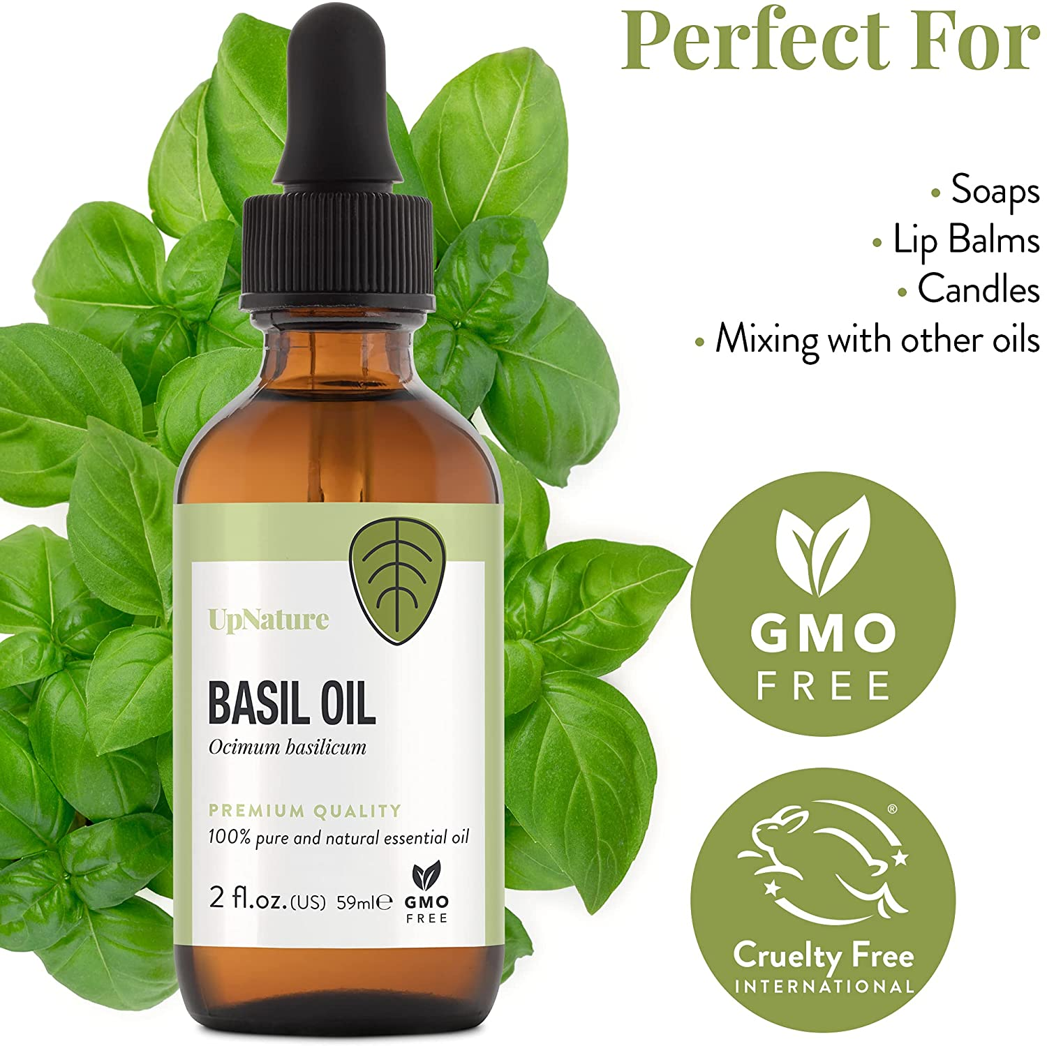 Basil Essential Oil - 100% Natural & Pure , Undiluted, Premium Quality Aromatherapy Oil- Basil Oil for Skin, Strengthen Hair & Stimulates Scalp, Relieves Congestion & Muscle Discomfort, 2Oz