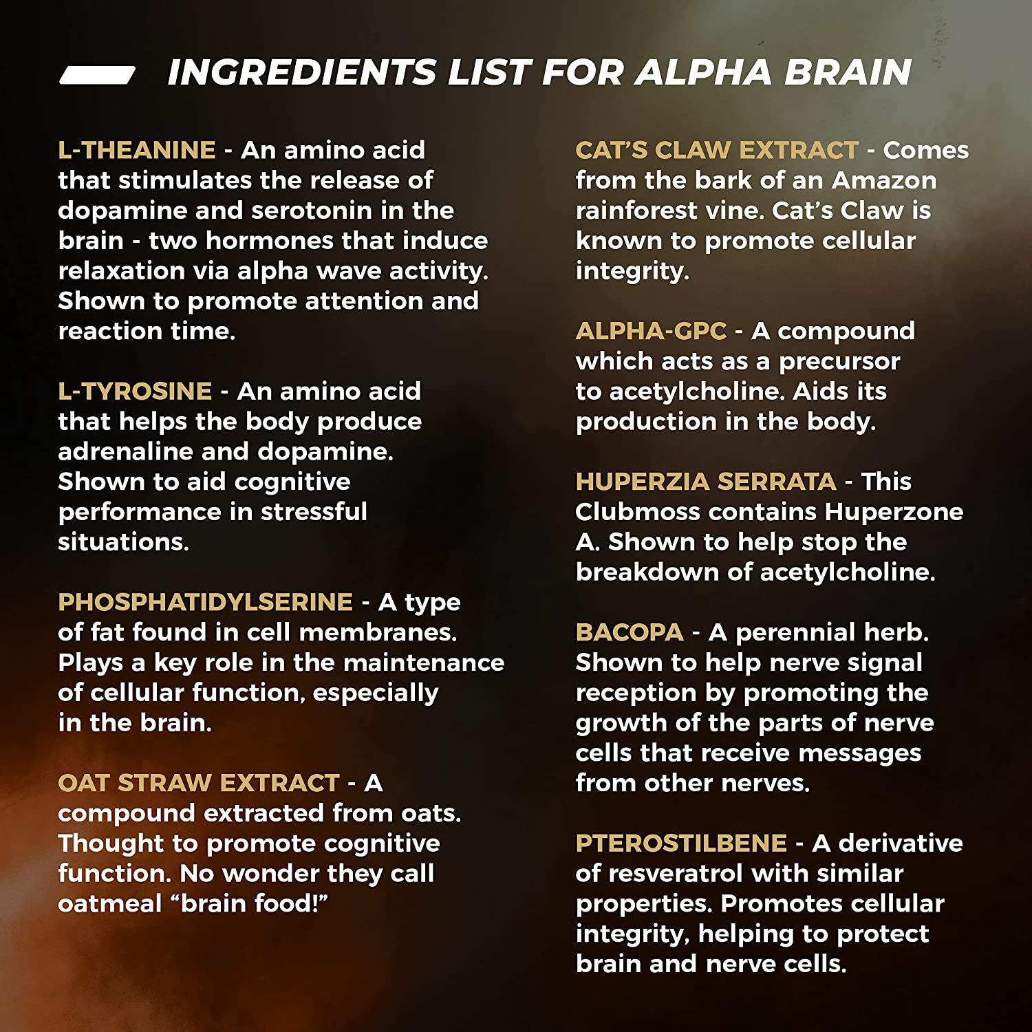 Alpha Brain Premium Nootropic Brain Supplement, 90 Count, for Men & Women - Caffeine-Free Focus Capsules for Concentration, Brain & Memory Support - Brain Booster Cat'S Claw, Bacopa, Oat Straw