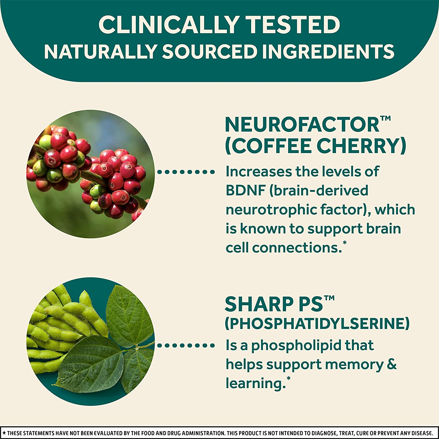 Nootropic Brain Support Supplement, Original Capsules in a Bottle, Phosphatidylserine, Gluten Free, Decaffeinated, Focus, Memory, Learning, Accuracy & Concentration, White, 28 Count