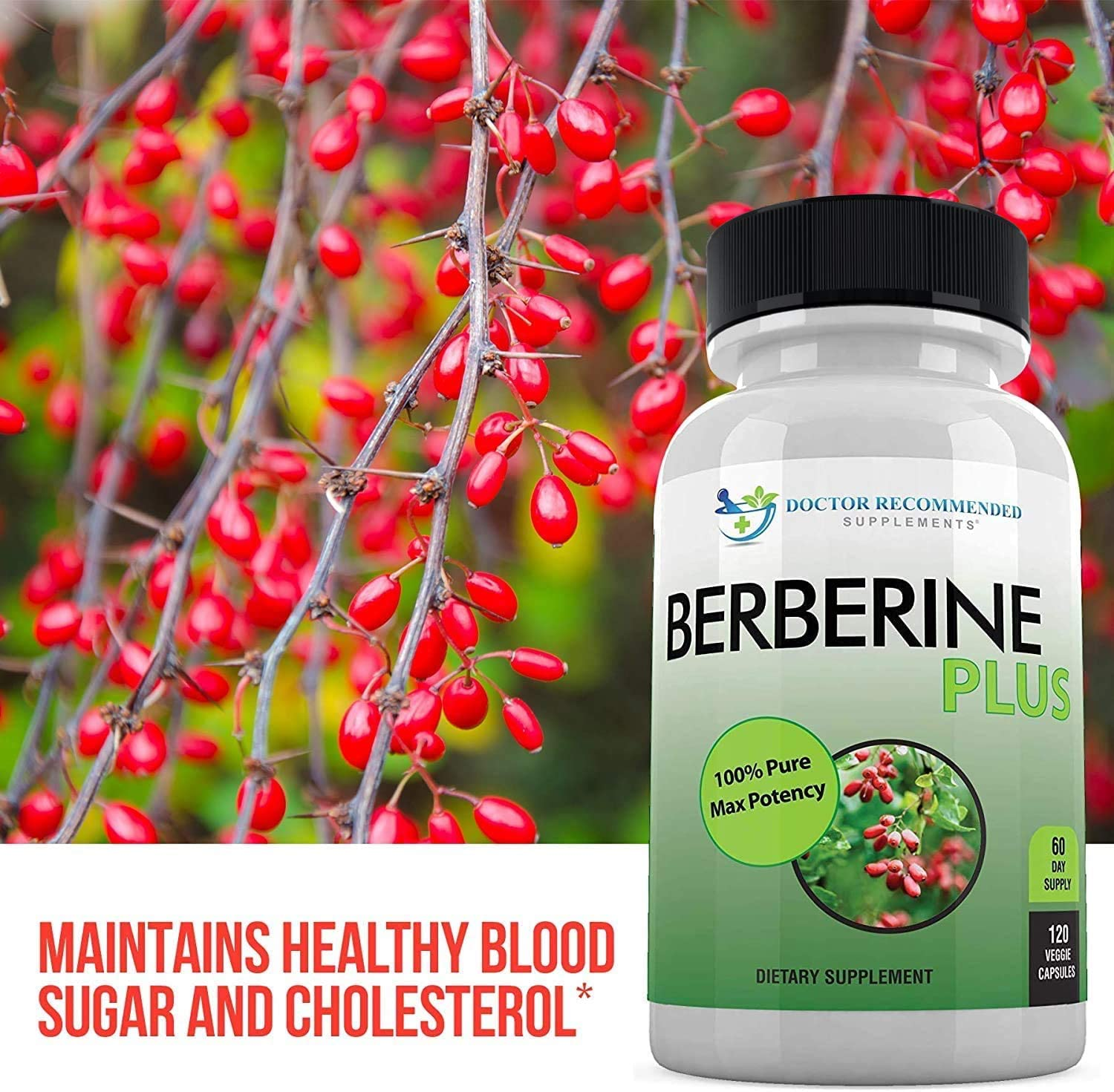 Berberine plus 1200Mg per Serving - 120 Veggie Capsules Royal Jelly, Supports Healthy Immune System, Improves Cardiovascular Heart & Gastrointestinal Wellness