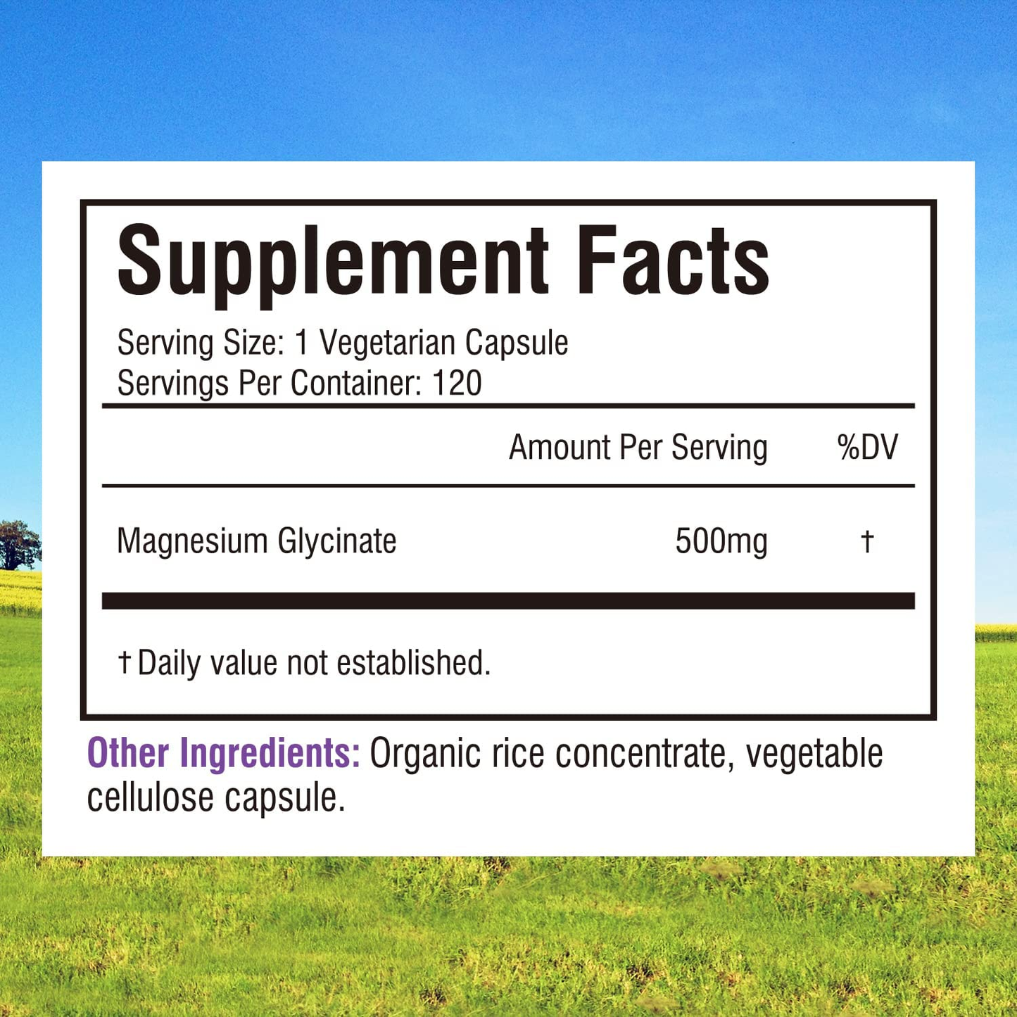 Magnesium Glycinate 500Mg per Caps, 120 Veggie Caps, Chelated for Maximum Absorption, Non-Gmo, NO Gluten Dairy & Soy, Supports Muscle, Joint, and Heart Health