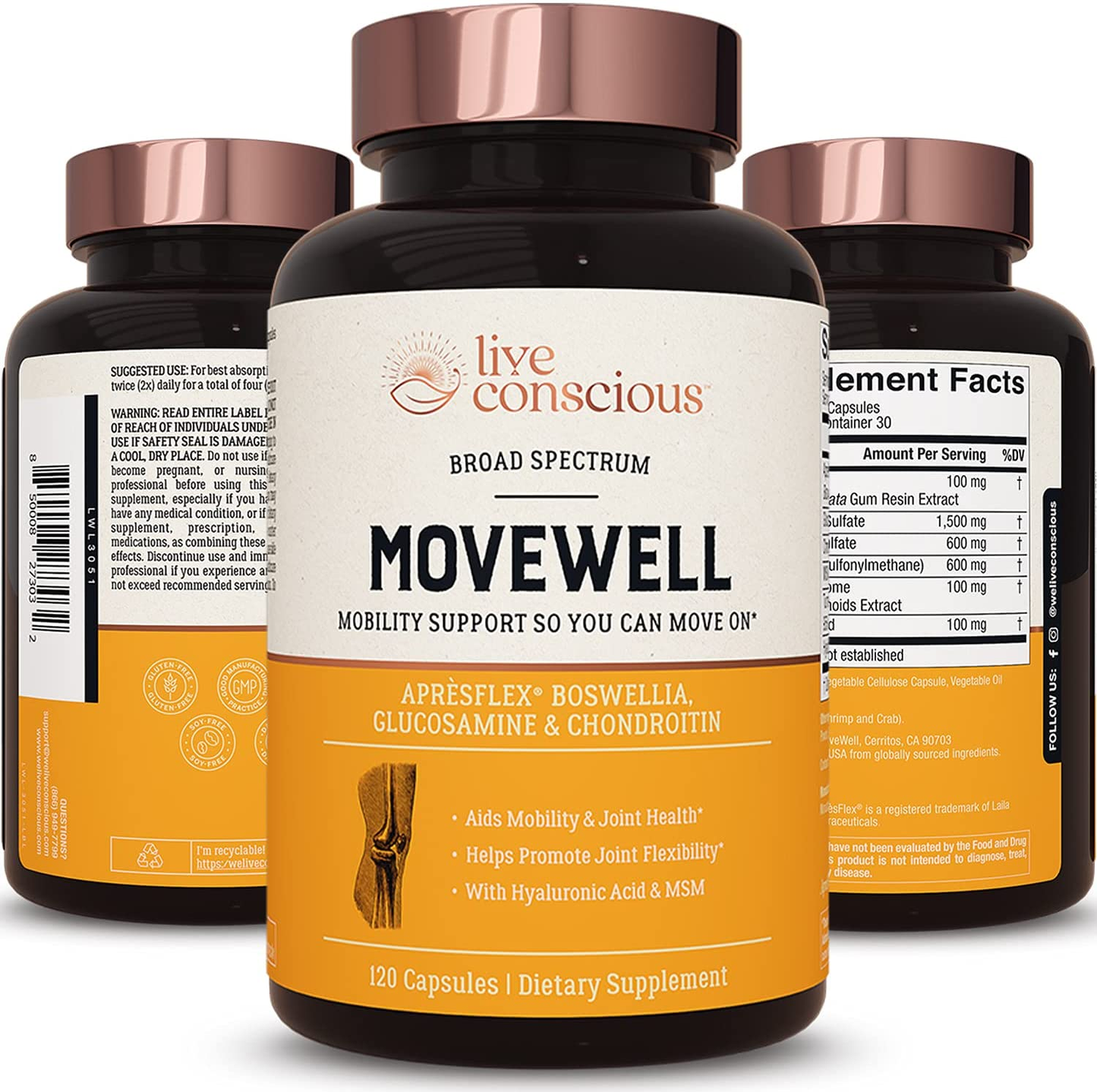 Glucosamine Chondroitin with MSM, Hyaluronic Acid, and More - Movewell by Livewell | Joint Health Supplement