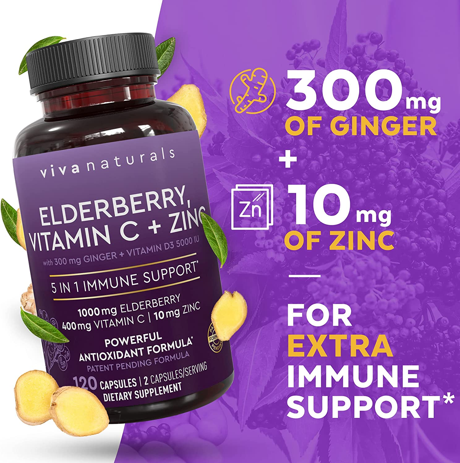 Sambucus Elderberry with Vitamin C, Zinc, Vitamin D3 5000 IU & Ginger (120 Capsules) - Antioxidant & Immune Support Supplement, 2 Month Supply - 5 in 1 Black Elderberry for Adults