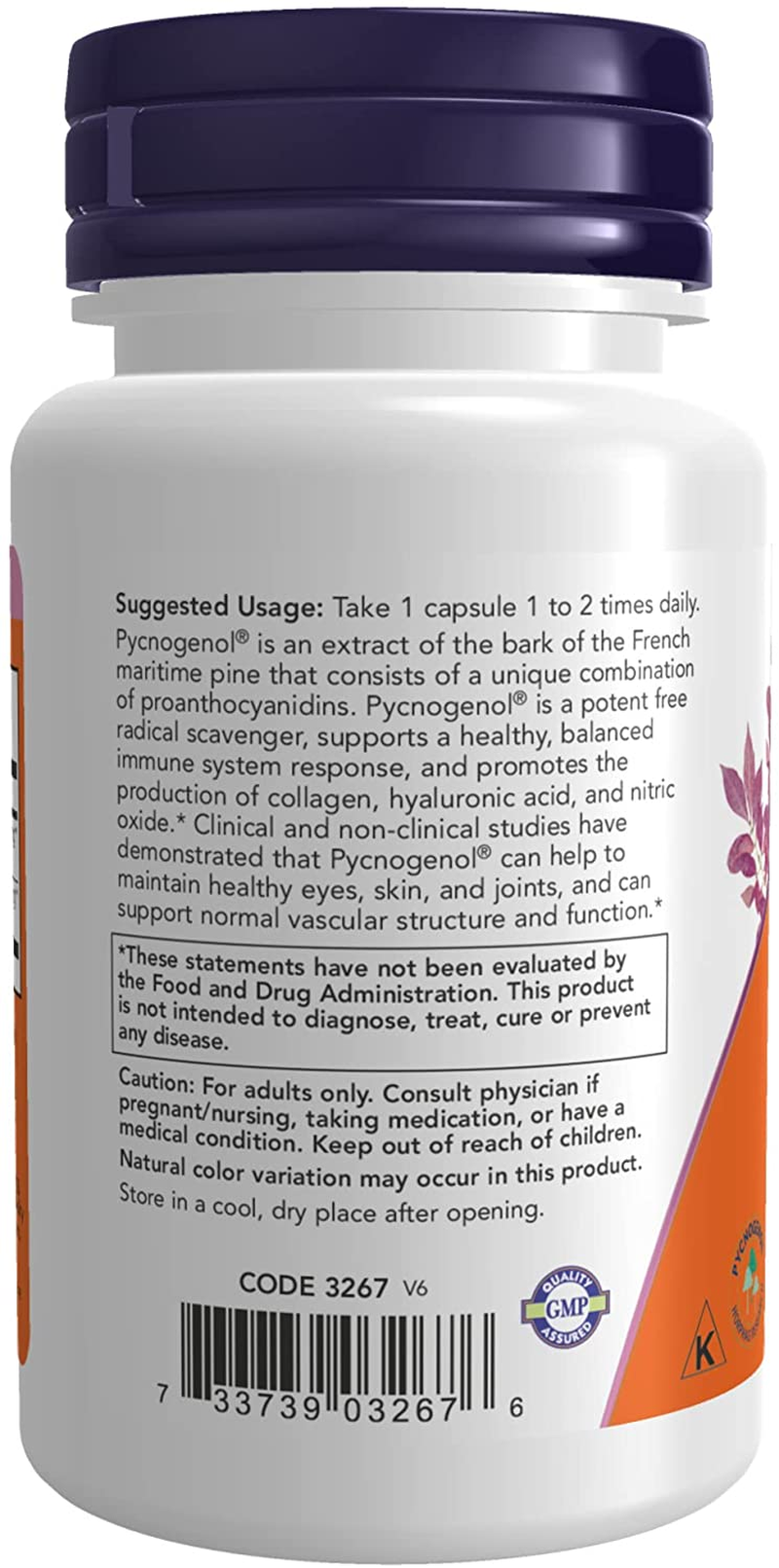 Supplements, Pycnogenol 100 Mg (A Unique Combination of Proanthocyanidins from French Maritime Pine) with Amla, 60 Veg Capsules